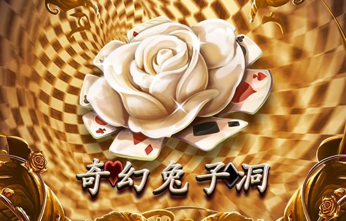 期期中app官网平台